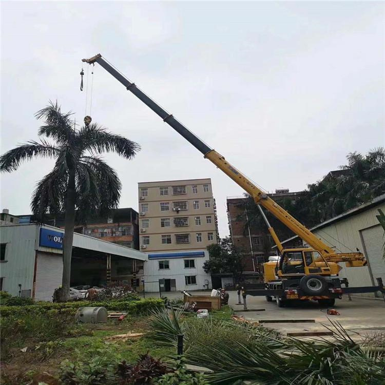 宜州吊车吊大树几种方法